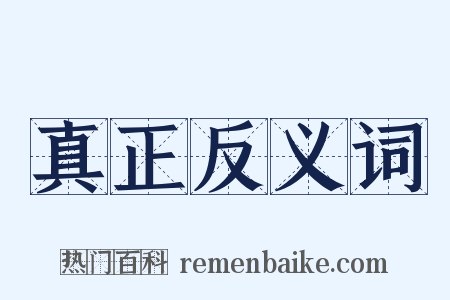 真正反义词是什么意思的图片